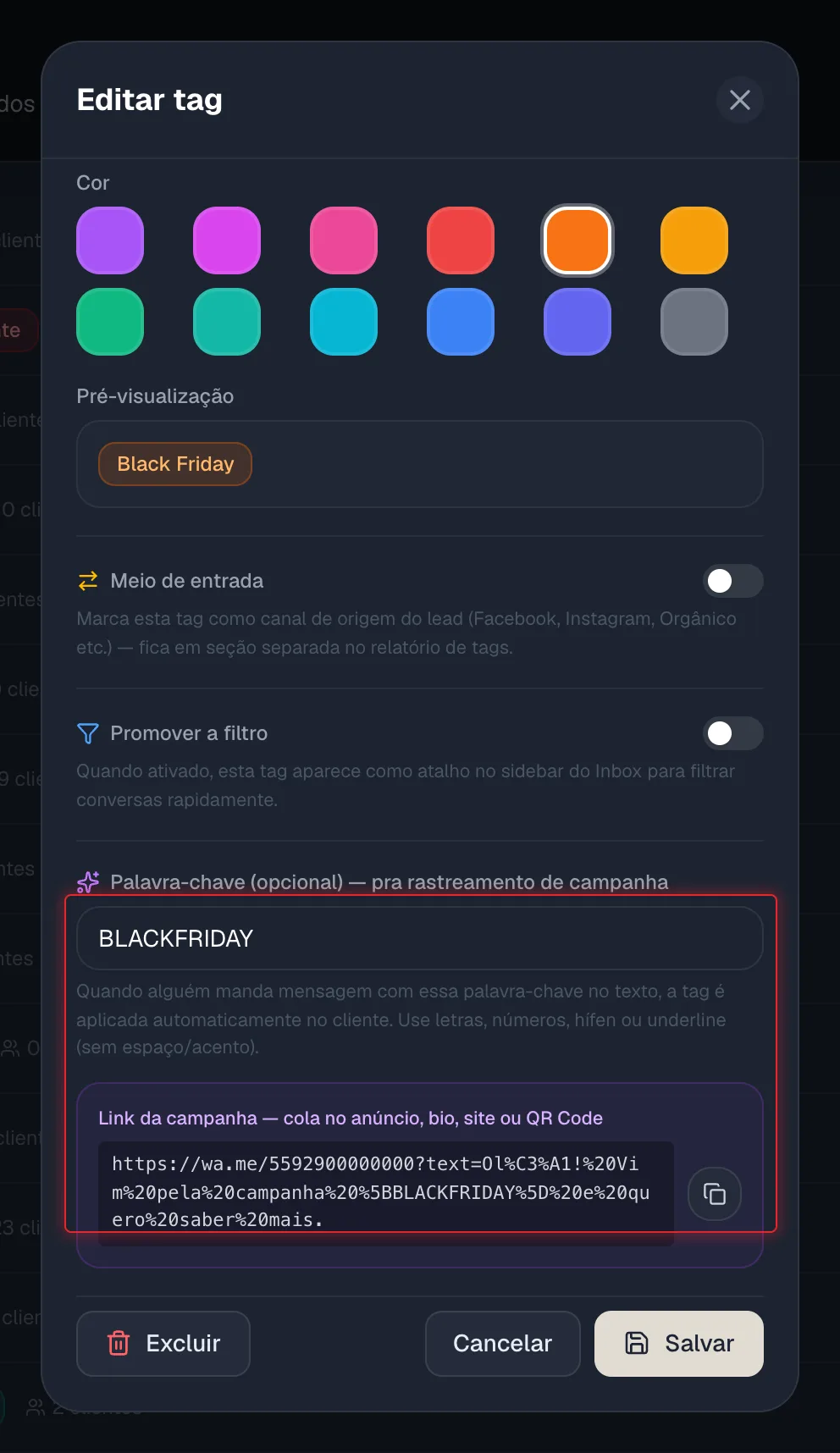 Campo de palavra-chave com o Link da campanha gerado